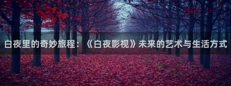 天龙影院2023年最新款的电视剧有哪些：白夜里的奇妙旅程：《白夜影视》未来的艺术与生活方式