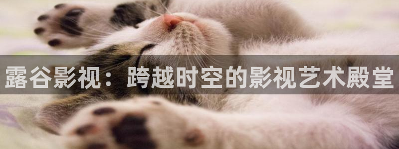 天龙电影网：露谷影视：跨越时空的影视艺术殿堂