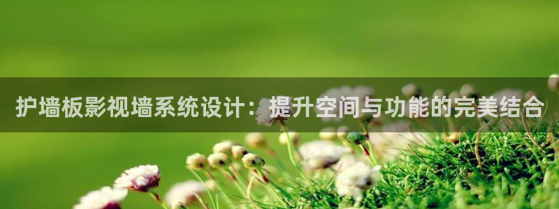 天龙高清影院：护墙板影视墙系统设计：提升空间与功能的完美结合
