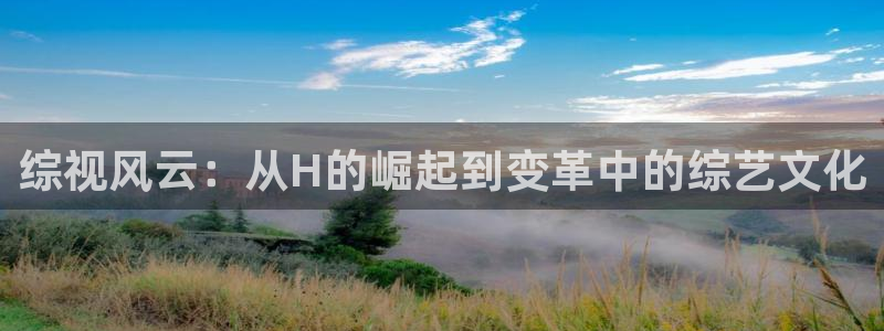 天龙电影院免费观看：综视风云：从H的崛起到变革中的综艺文化