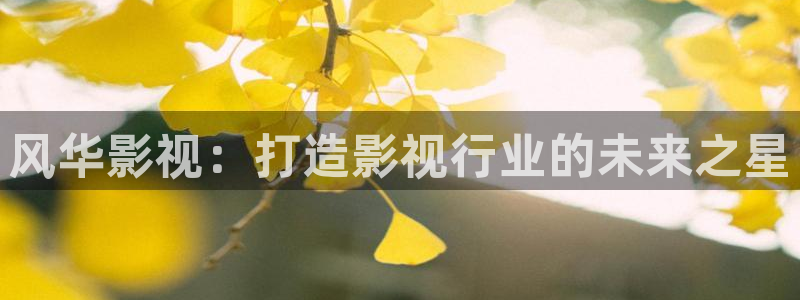 天龙影院官网：风华影视：打造影视行业的未来之星